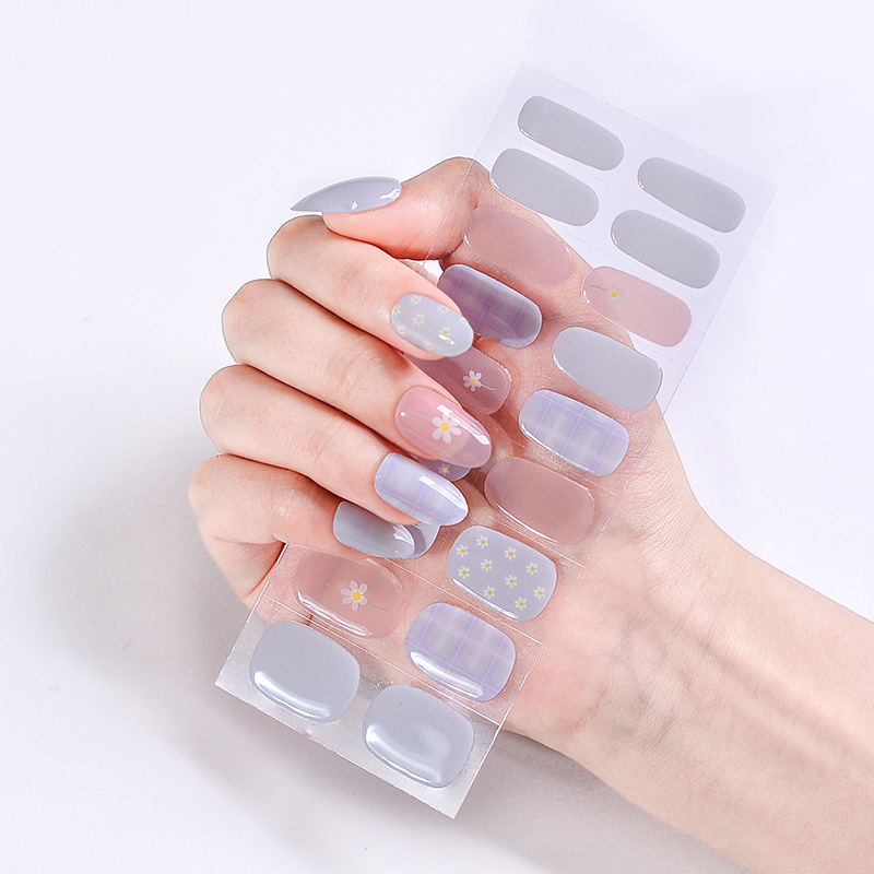 Lilac Daisy